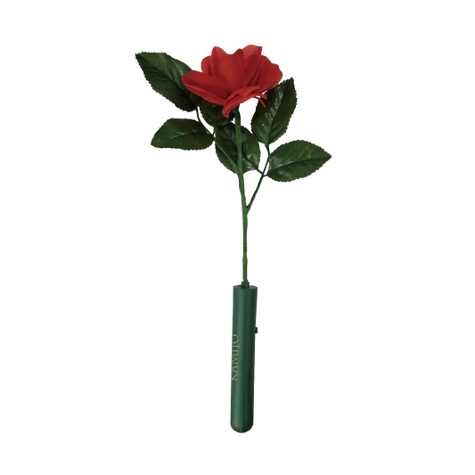 KAMIJO Rose Light